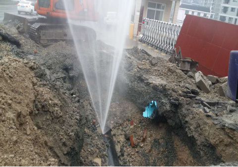 1658805245172555.jpg f68c682e-df7d-4516-9614-073da5143d44.jpg