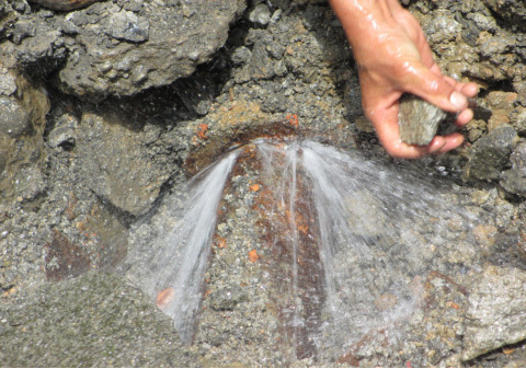 1658805254507979.jpg 67892cab-b0ab-426d-8eea-abe87d72de75.jpg